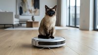 Siamese cat sitting on robotic vacuum cleaner in modern home interior with wooden floors and contemporary furniture for pet care technology concepts.