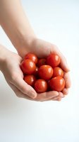 Fresh cherry tomatoes cupped in protective hands on clean white background for healthy eating and organic farming concepts.