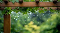 Raindrops falling from wooden pergola with green grape vine leaves creating magical garden atmosphere with bokeh light effect and water drops.