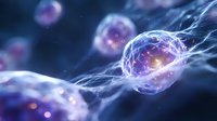 Glowing purple and blue cells with neural connections on dark background, microscopic view of biological processes showing energy transfer and communication.