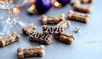 Dog bone shaped treats with 2026 numbers on festive holiday background with purple ornaments and bokeh lights, selective focus on treats for new year celebration.