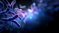 Microscopic bacteria in blue and pink neon colors on dark background with glowing effect and selective focus for scientific and medical visualization.