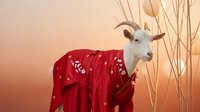 White goat wearing red traditional dress stands among tall grass at golden sunset creating surreal artistic composition for creative projects.
