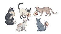 Collection of six adorable cartoon cats in different breeds and colors sitting and playing, isolated on white background for design projects.