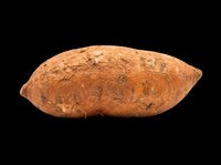 Fresh whole sweet potato isolated on transparent background, ready for sticker, clipart, print on demand, sublimation, and T-shirt design use.