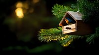 Wooden bird feeder ornament hanging on Christmas tree branch with soft bokeh lights in background creating cozy holiday atmosphere.