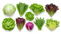 Assorted fresh leafy greens including cabbage, romaine, lettuce varieties and asparagus isolated on white background, ready for culinary, nutritional and healthy eating design projects.