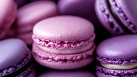 Pink and purple French macarons with creamy filling arranged in rows, showcasing delicate meringue-based sandwich cookies with smooth shells and ruffled feet.