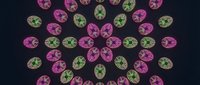 Colorful gemstone mandala pattern with pink and green oval crystals arranged in circular formation on dark background for luxury jewelry design.