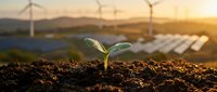Young green plant seedling growing in rich soil with wind turbines and solar panels in background during golden hour sunrise representing sustainable energy future.