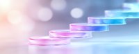 Laboratory petri dishes arranged in ascending line with pink to blue gradient color transition against blurred scientific background with bokeh effect.