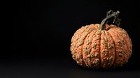 Textured orange pumpkin with dried stem isolated on black background, suitable for autumn, fall, and seasonal design projects.