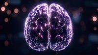 Glowing purple brain visualization with neural network connections on dark background with bokeh lights, representing artificial intelligence and consciousness.