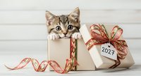 Tabby kitten peeking from kraft gift box with red striped ribbon and 2027 gift tag on white wooden background for holiday celebrations.