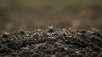 Rich dark soil texture with organic matter and small particles creating natural earth surface for gardening and agriculture applications.
