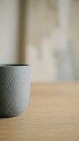 Minimalist potted plant in gray concrete pot on wooden surface with blurred neutral background, suitable for home decor and interior design projects.