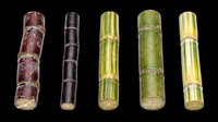 Bamboo stalks in various natural colors isolated on transparent background, ready for clipart, t-shirt design, stickers, print-on-demand products, and sublimation projects.