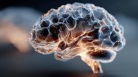 Glowing human brain with neural network connections and electrical activity showing cognitive processes and mental function in medical neuroscience concept.