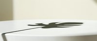 Isolated tweezers casting shadow on white surface, precision tool for grooming, beauty, and detailed work applications.