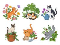 Orange tabby cat surrounded by colorful flowers and plants, isolated clipart design for t-shirts, stickers, and crafts. Calico cat with potted monstera plant, black and white kitten watering flowers, siamese cat in terracotta pot with ivy, ginger cat with gardening tools, gray koala on leafy branch. Six charming feline and garden themed illustrations ready for merchandise and design projects.