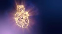Glowing golden wireframe human heart with radiant light rays on dark blue cosmic background, symbolizing cardiology, health, and digital medicine.