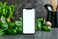 Modern smartphone with blank white screen displayed among fresh basil leaves and kitchen utensils on gray concrete counter, mockup for app or website design.