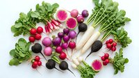 Fresh colorful radishes variety with green leaves isolated on white background for healthy cooking and organic farming concepts.
