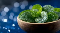 Fresh mint leaves with water drops in wooden bowl against dark blue bokeh background, aromatic herbs for cocktails and cooking, macro food photography.