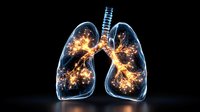 Glowing anatomical lungs with illuminated bronchial tree and alveoli on black background, medical visualization showing respiratory system structure and function.