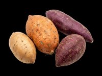Isolated sweet potatoes in orange and purple varieties on transparent background, ready for clipart, t-shirt design, stickers, and print-on-demand projects.
