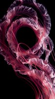 Abstract pink and purple smoke swirls creating dynamic flowing patterns on black background for modern design projects and creative concepts.