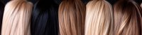 Different shades of straight long hair from platinum blonde to dark black arranged in vertical stripes showing color palette variations for hairstylists and beauty professionals.
