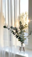 Fresh eucalyptus branches in glass vase on windowsill with sheer white curtains and golden sunlight creating peaceful morning atmosphere.