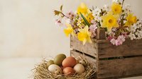 Spring Easter composition with colorful eggs in nest and wooden crate filled with daffodils and cherry blossoms on neutral background for holiday decor.