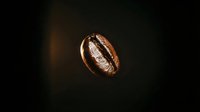 Single roasted coffee bean with detailed texture and crack on dark background for cafe branding and beverage marketing materials.