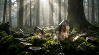 Sunlight streams through misty forest creating magical atmosphere with moss-covered rocks and ancient trees for nature backgrounds and outdoor concepts.