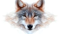 Artistic wolf portrait with intense gaze and detailed fur texture in soft brown and gray tones on white background, ready for design projects and merchandise.
