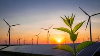 Green plant sprout growing among solar panels and wind turbines at sunset, symbolizing renewable energy and sustainable development for eco-friendly projects.