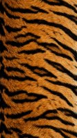 Closeup of orange and black striped fur texture with natural pattern detail for wildlife, nature, and animal design projects.