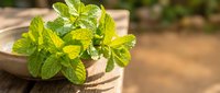 Fresh green mint leaves in rustic wooden bowl on natural outdoor surface perfect for culinary herbs cooking ingredients and organic gardening concepts.