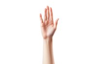 Female hand raised showing palm in stop or high five gesture against white background, isolated cutout for easy design integration.