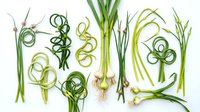 Fresh green onions and scallions arranged in artistic patterns on white background, perfect for culinary designs and cooking projects.