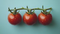 Fresh red cherry tomatoes on vine with water droplets against mint green background, minimalist food composition for healthy eating and cooking concepts.