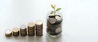 Growing money tree plant in glass jar with coins and stacked coin columns showing financial growth and investment concept for savings and wealth building.