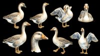 Set of eight geese in various poses, isolated on transparent background. Great for clipart, stickers, t-shirt design, print on demand, and sublimation projects.