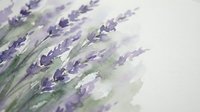 Watercolor lavender flowers with soft purple blooms and green stems on textured paper background for botanical art, wedding invitations, and spa decor.