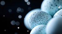 Microscopic view of white blood cells or cellular structures with detailed surface texture against dark background with bokeh light effects.
