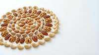 Mixed nuts arranged in decorative spiral pattern on white background. Almonds, pecans, walnuts and cashews forming circular design for healthy snacking concepts.