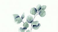 Watercolor eucalyptus branches with soft green and blue leaves on white background for botanical design projects and natural decor elements.