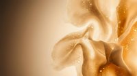 Macro shot of golden liquid with organic flowing forms and water droplets, suitable for luxury cosmetics, skincare, and wellness product marketing.